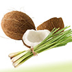 Coconut Lemograss