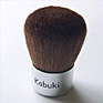 Kabuki brush